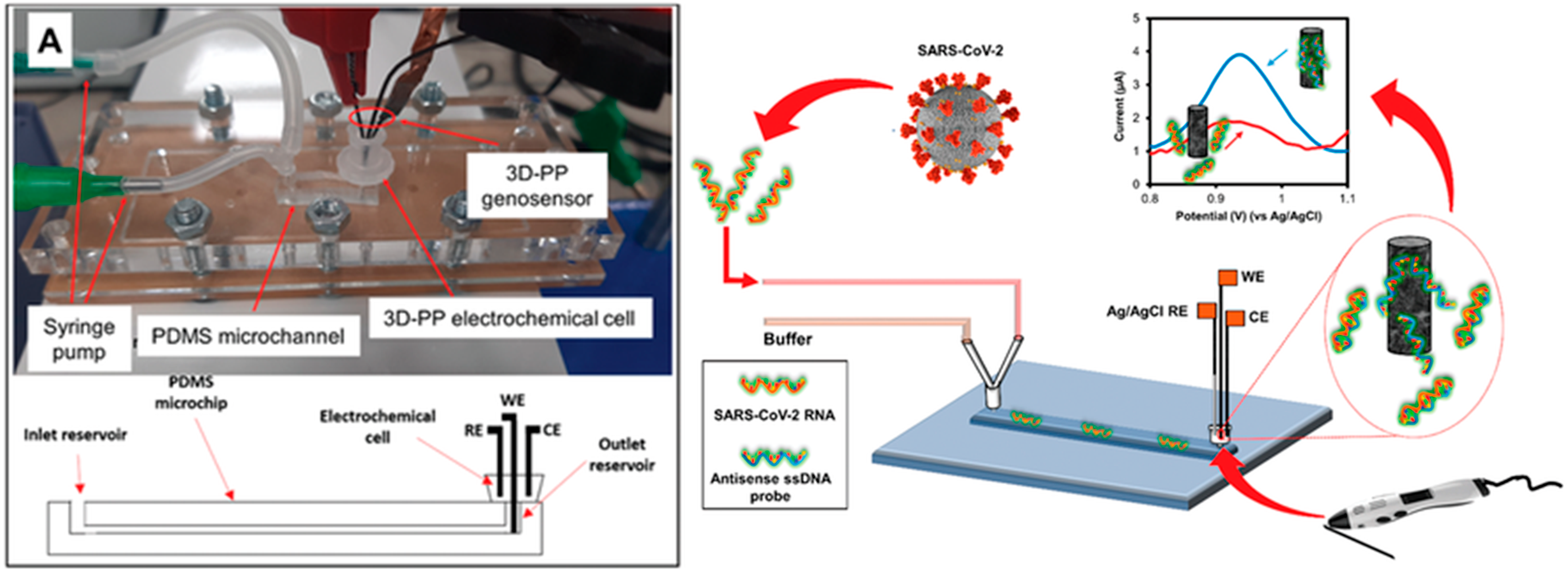 3D-Printed SARS-CoV-2 RNA Genosensing Microfluidic System